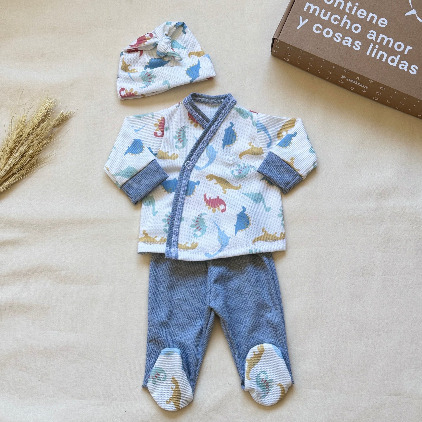 Set algodón - Dinosaurios pantalón gris