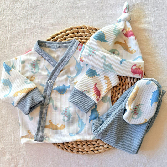 Set algodón - Dinosaurios pantalón gris