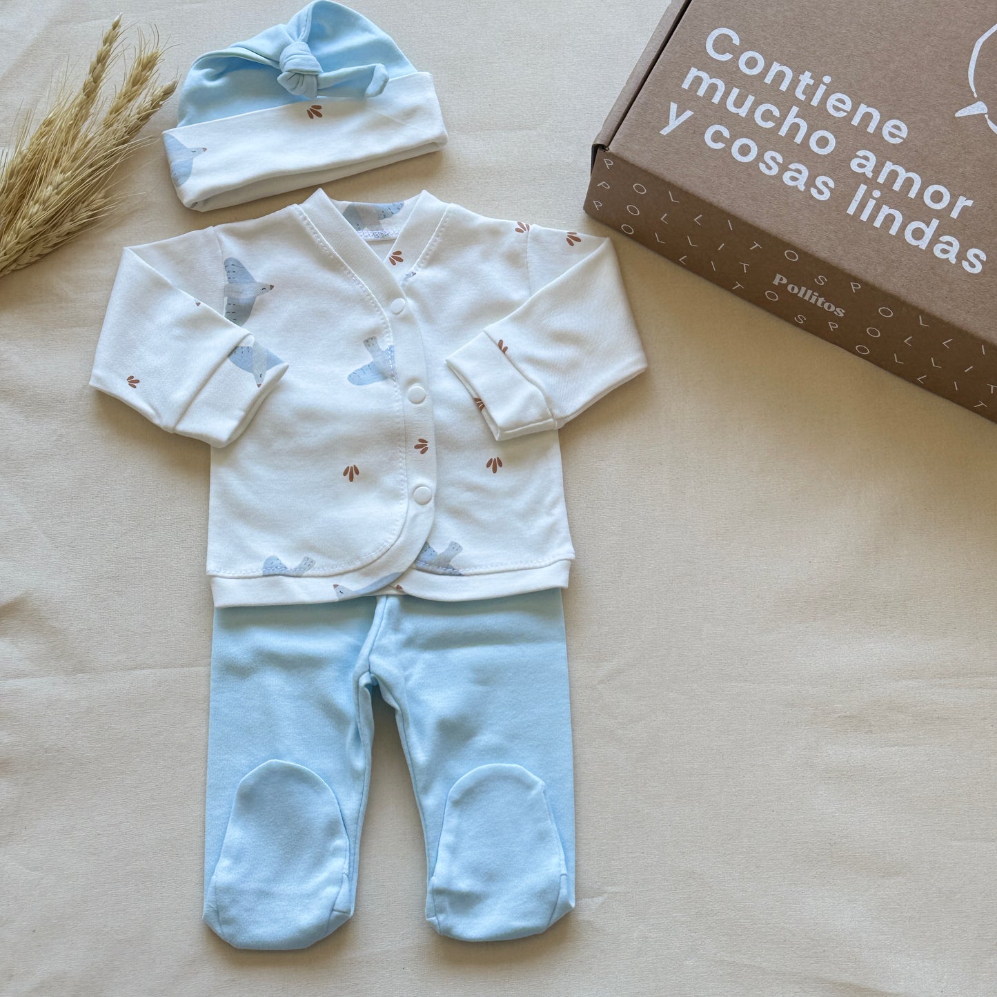 Set algodón - Aves pantalón celeste