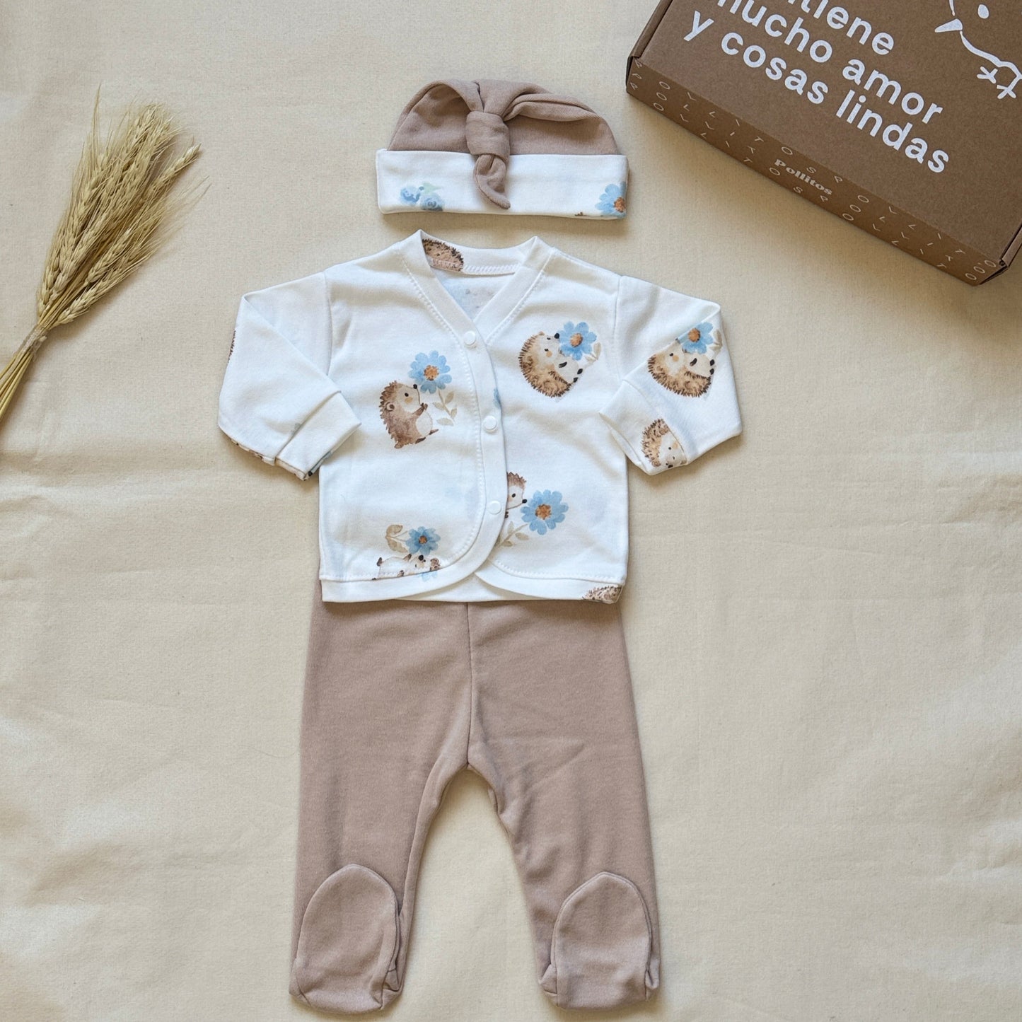 Set algodón - Erizo con pantalón marrón